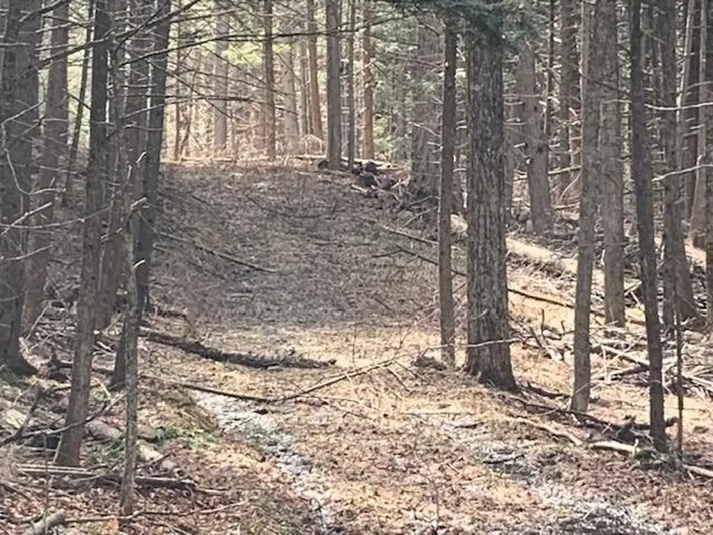 0 Lovejoy Road Royalton VT 05068