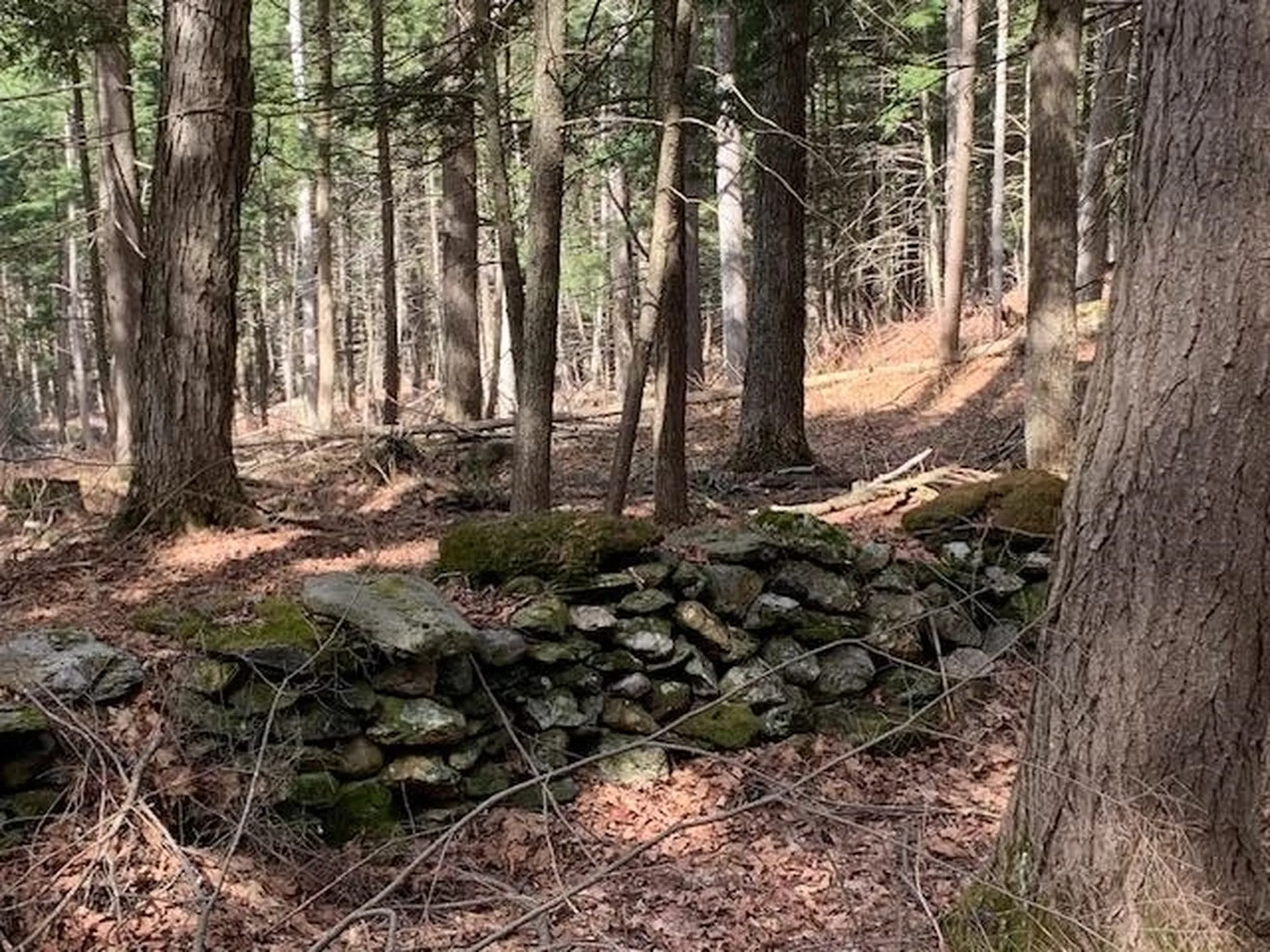 0 Lovejoy Road Royalton VT 05068