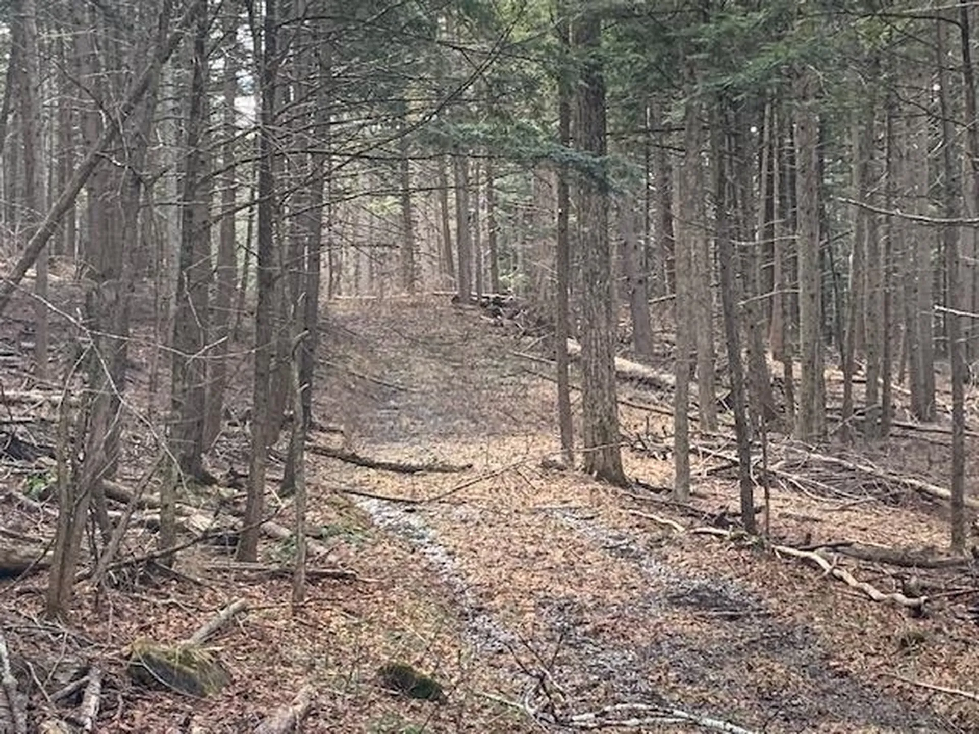 0 Lovejoy Road Royalton VT 05068