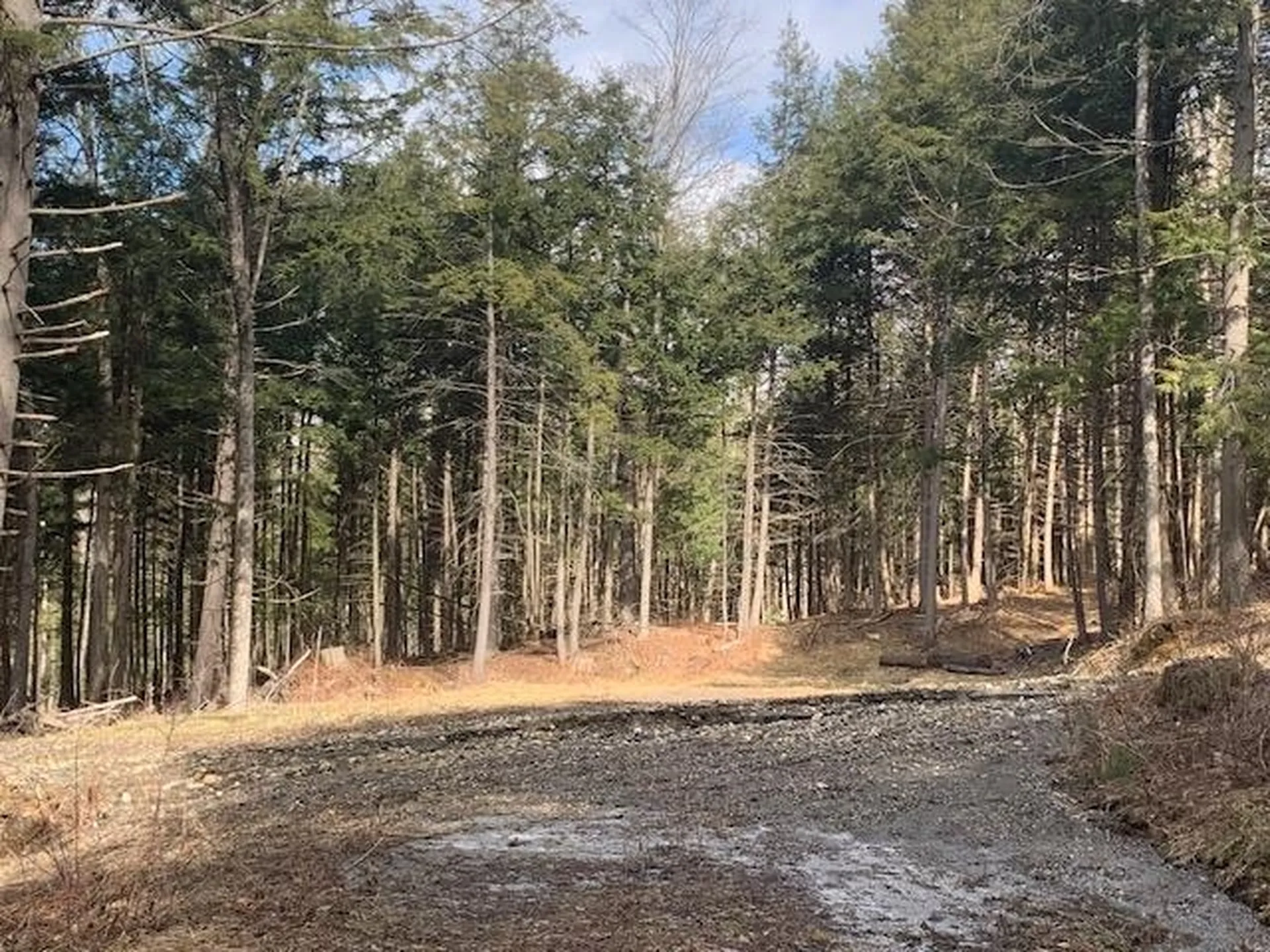 0 Lovejoy Road Royalton VT 05068