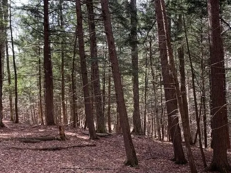 0 Lovejoy Road Royalton VT 05068