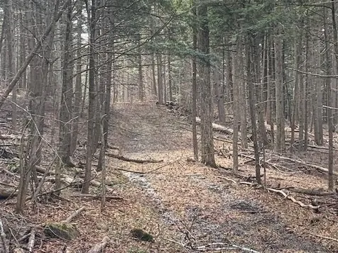 0 Lovejoy Road Royalton VT 05068