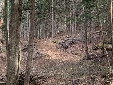 0 Lovejoy Road Royalton VT 05068