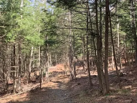 0 Lovejoy Road Royalton VT 05068