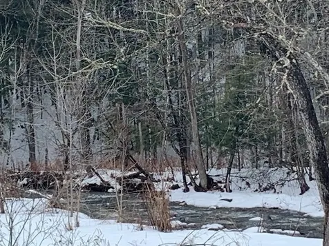 0 Lovejoy Road Royalton VT 05068