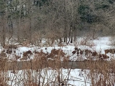 0 Lovejoy Road Royalton VT 05068