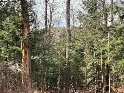 0 Lovejoy Road Royalton VT 05068