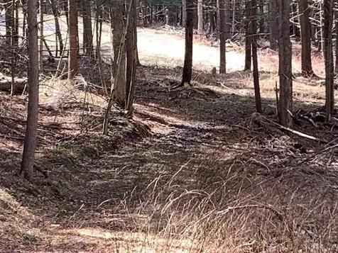 0 Lovejoy Road Royalton VT 05068