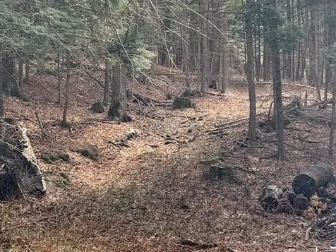 0 Lovejoy Road Royalton VT 05068