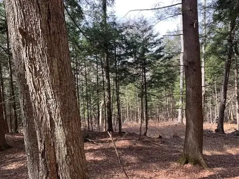 0 Lovejoy Road Royalton VT 05068