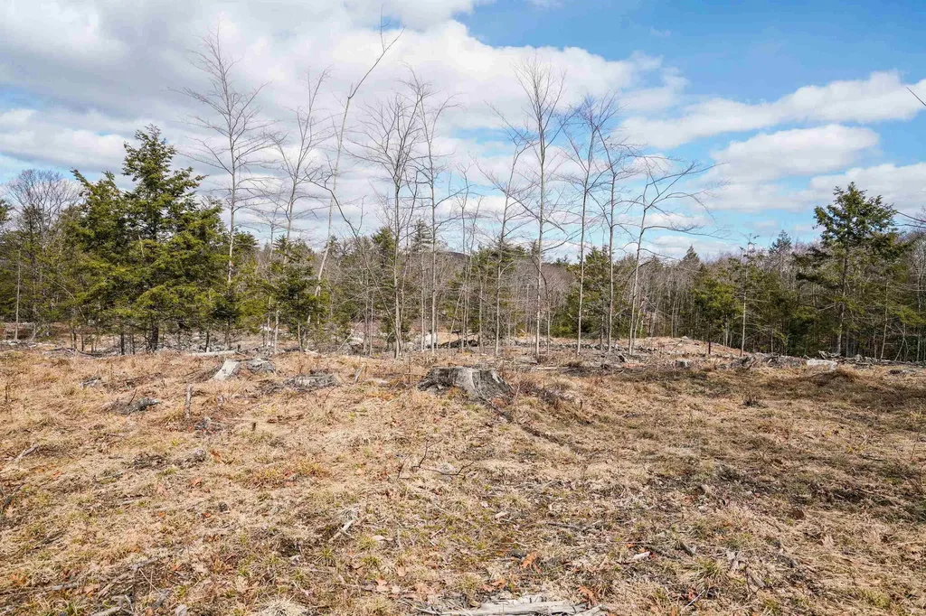 32-1 Chestnut Hill Road New Boston NH 03070