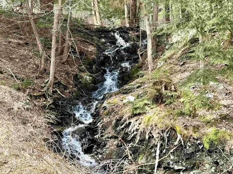 299 Brackett Road Fairlee VT 05045