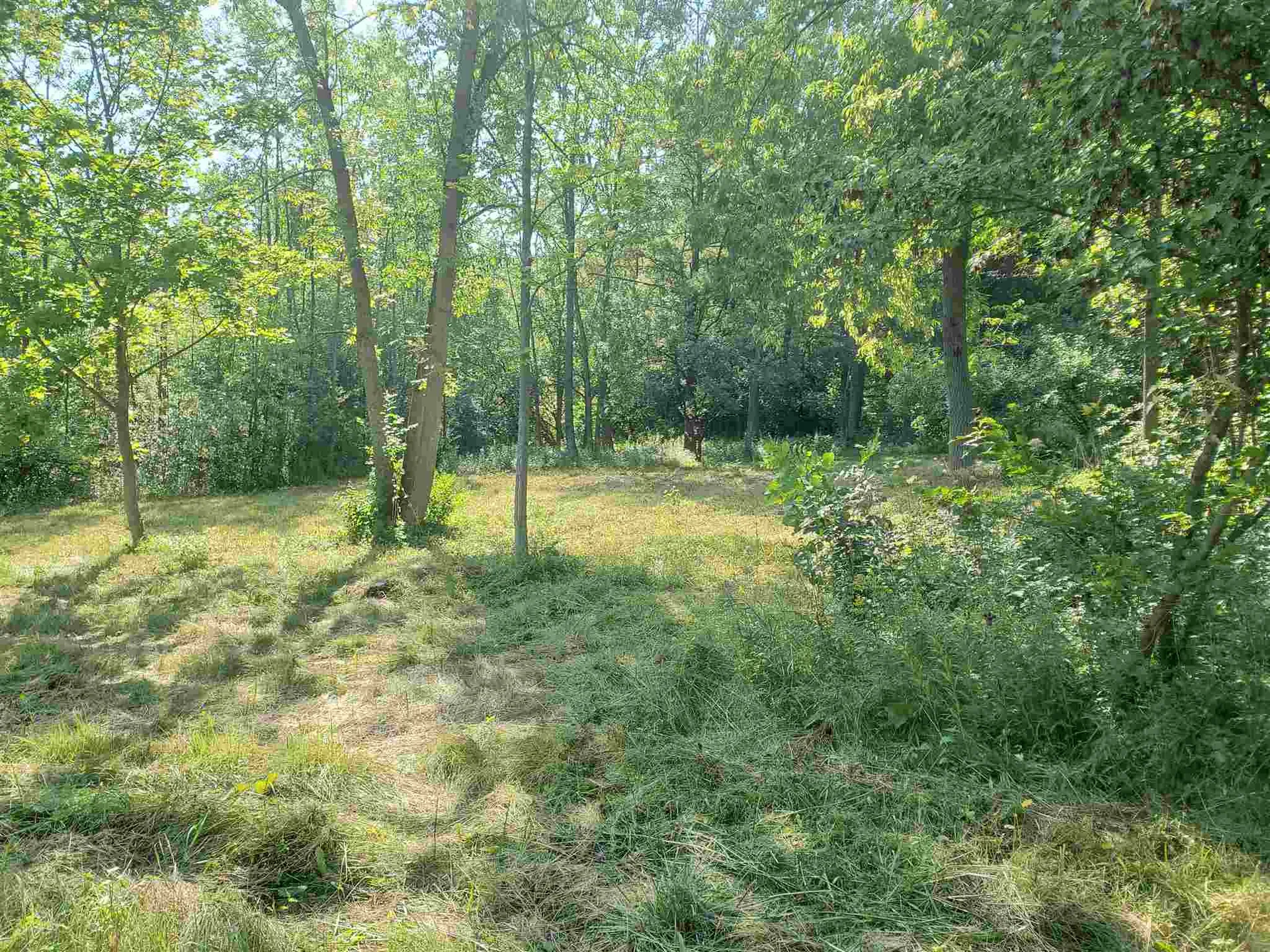 Lot 3 Oliver Howe Court Shoreham VT 05770