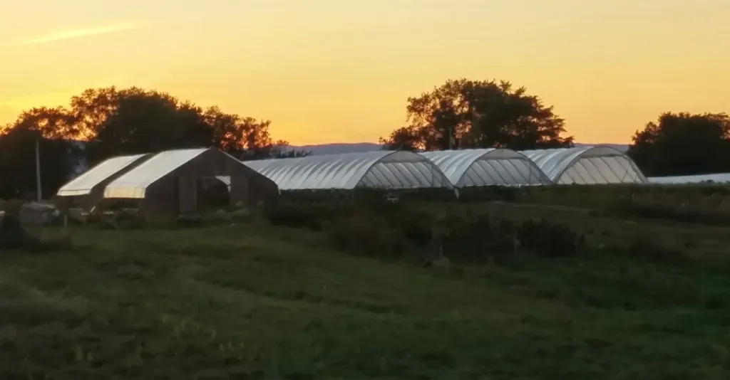 76 Farm Way South Burlington VT 05403