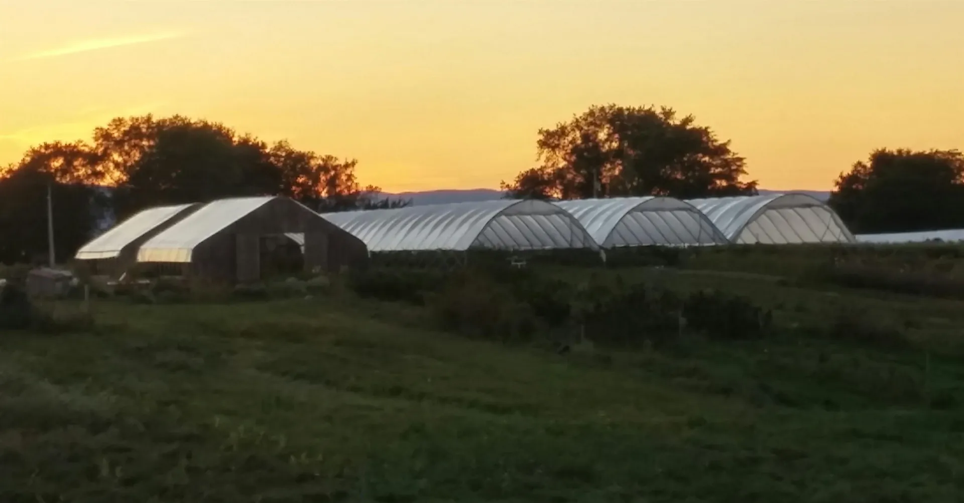 76 Farm Way South Burlington VT 05403