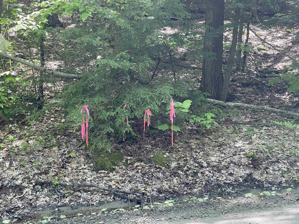 Fernwood Farms Road Canaan NH 03741