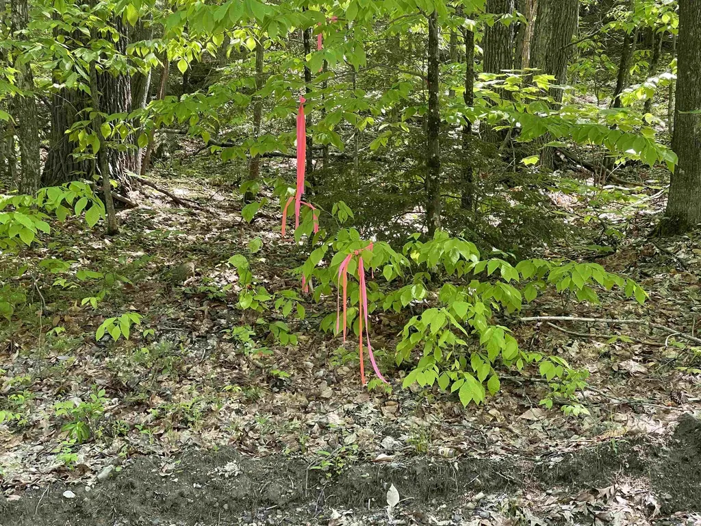 Fernwood Farms Road Canaan NH 03741