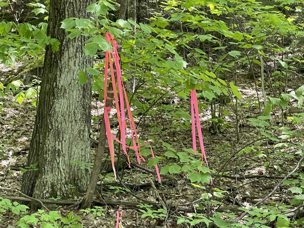 Fernwood Farms Road Canaan NH 03741