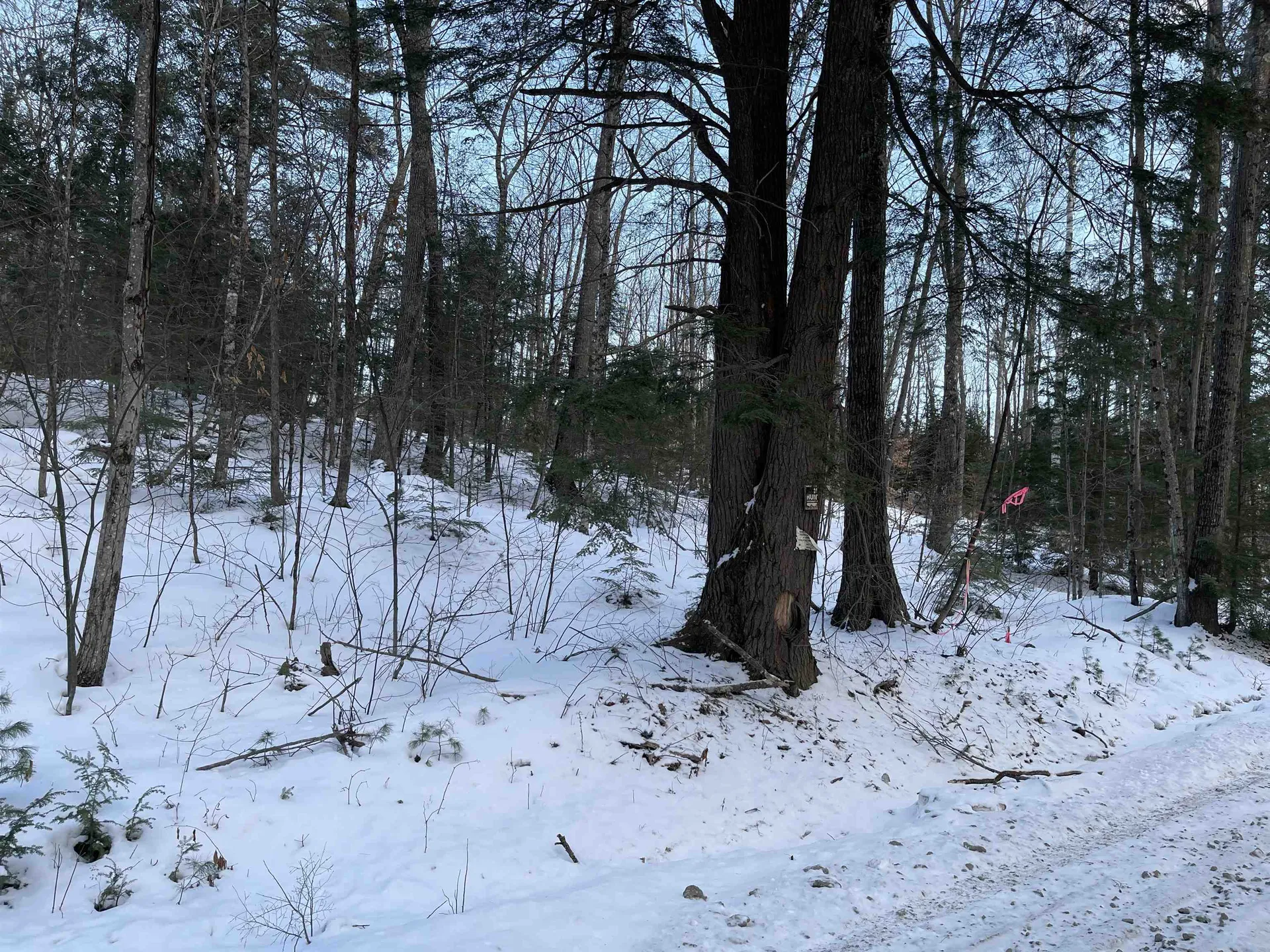 Fernwood Farms Road Canaan NH 03741