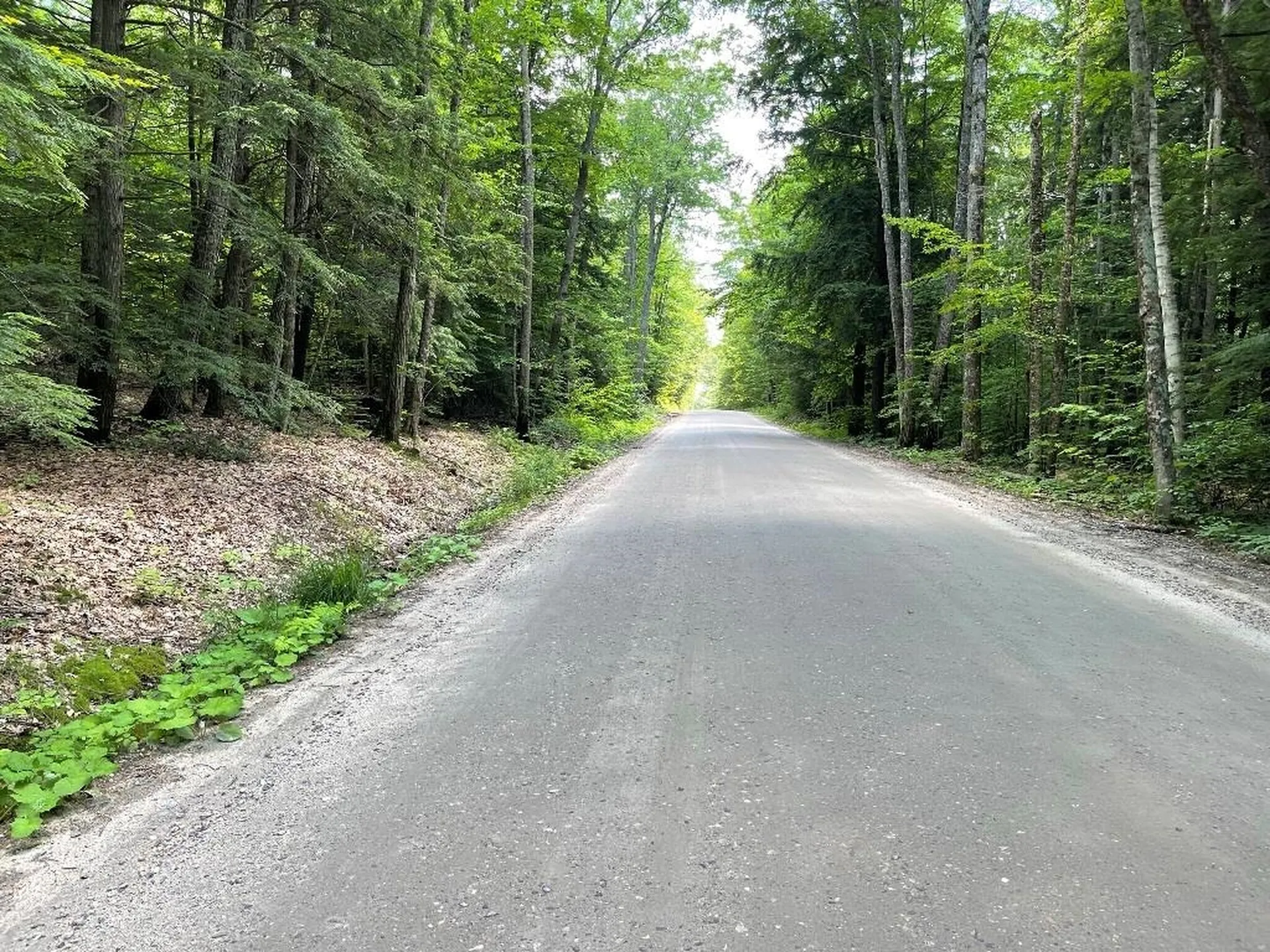 Fernwood Farms Road Canaan NH 03741