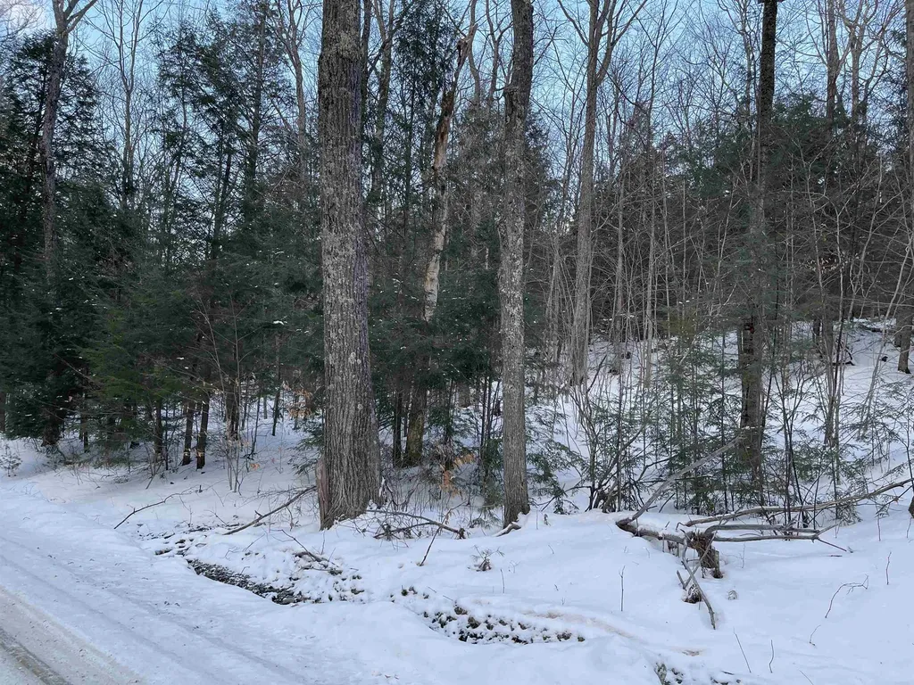 59-G1 Fernwood Farms Road Canaan NH 03741