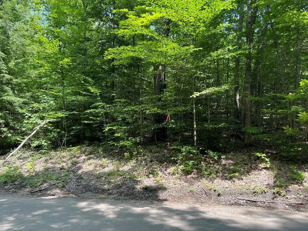 59-G1 Fernwood Farms Road Canaan NH 03741