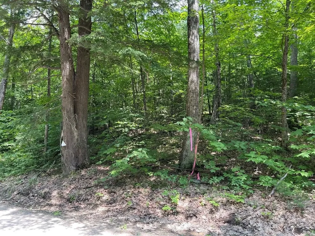 59-G1 Fernwood Farms Road Canaan NH 03741