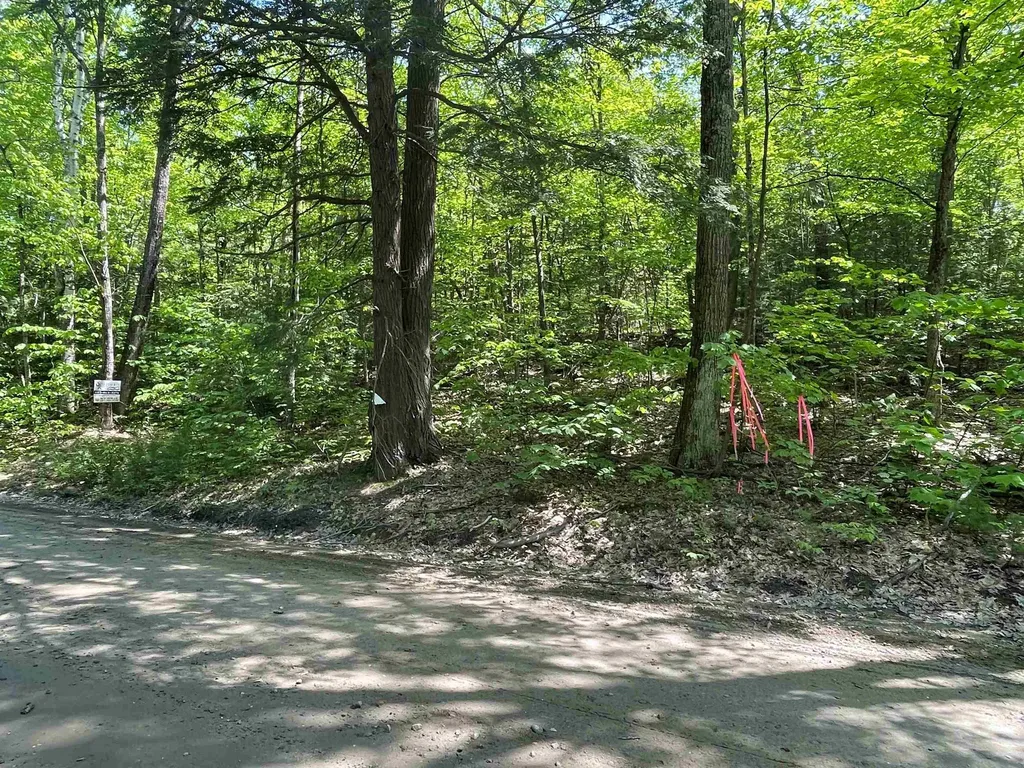 59-G1 Fernwood Farms Road Canaan NH 03741