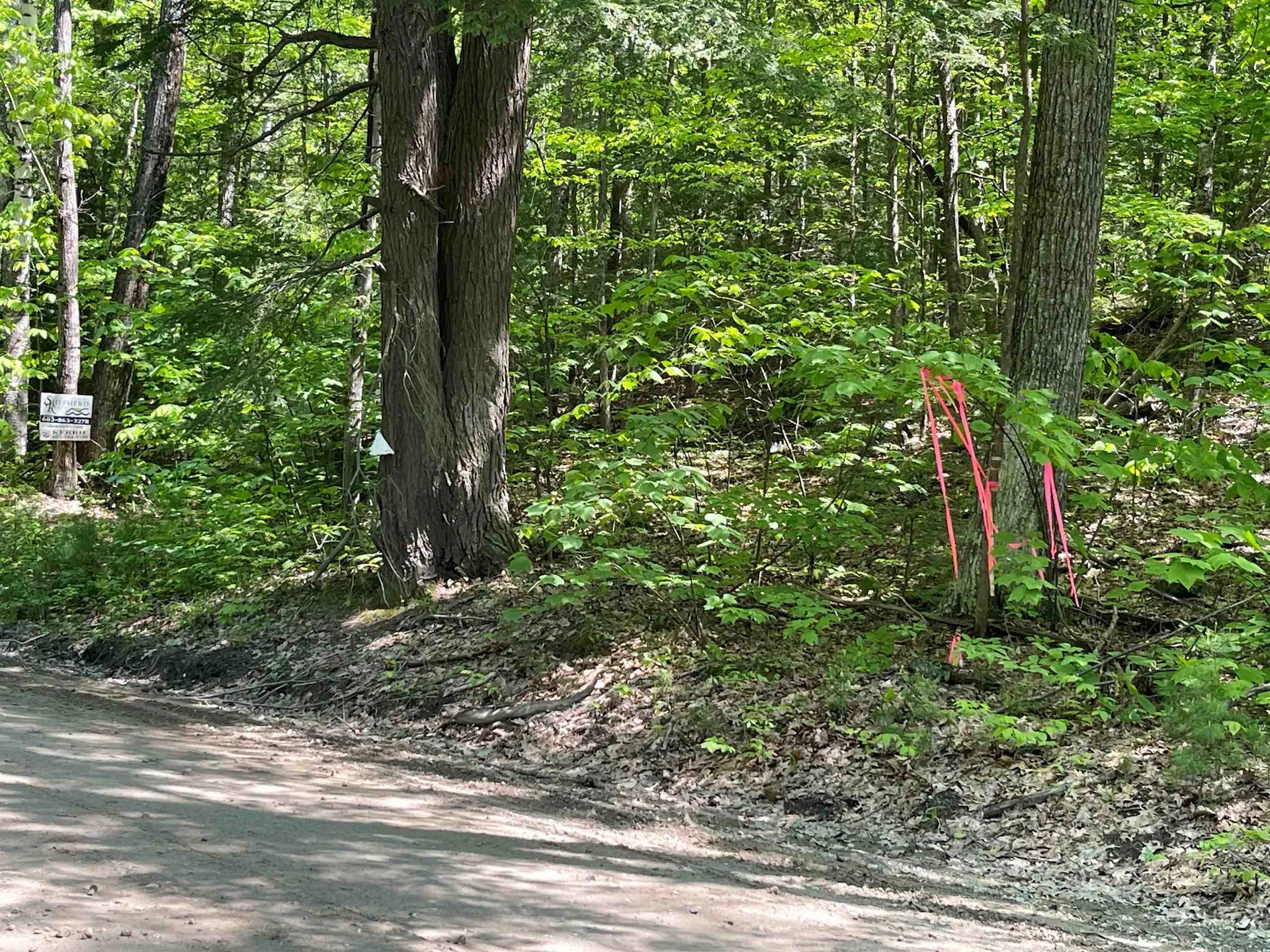 59-G1 Fernwood Farms Road Canaan NH 03741