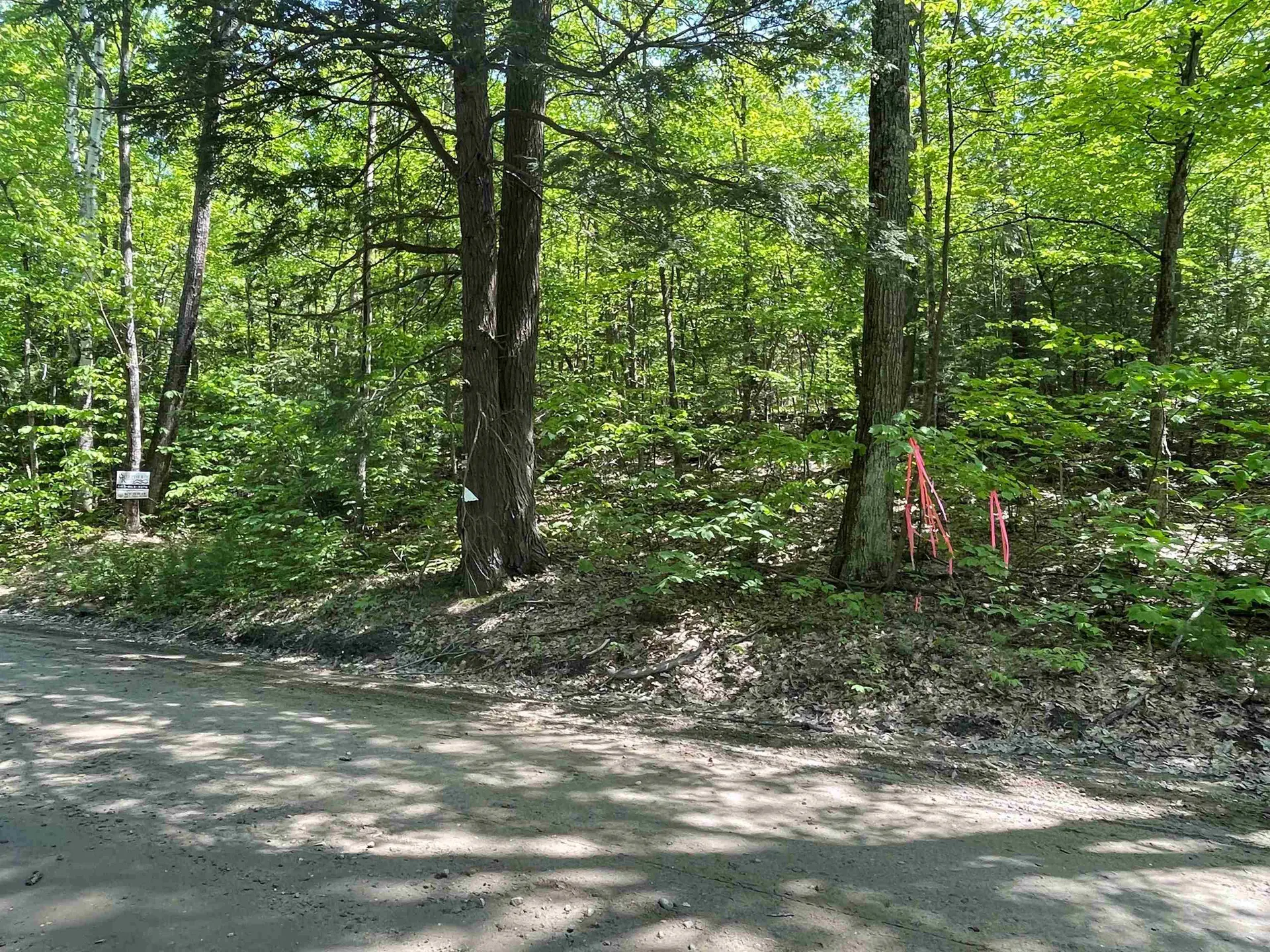 59-G1 Fernwood Farms Road Canaan NH 03741