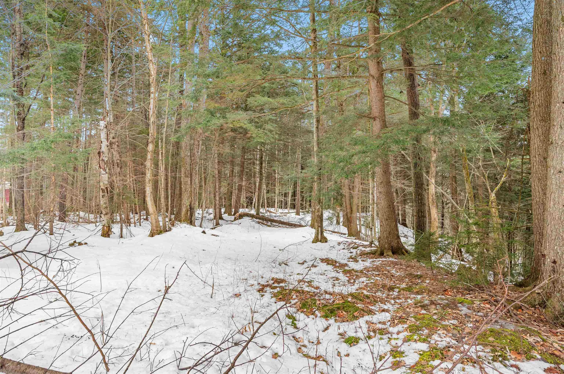 52 Frazier Road Worcester VT 05682