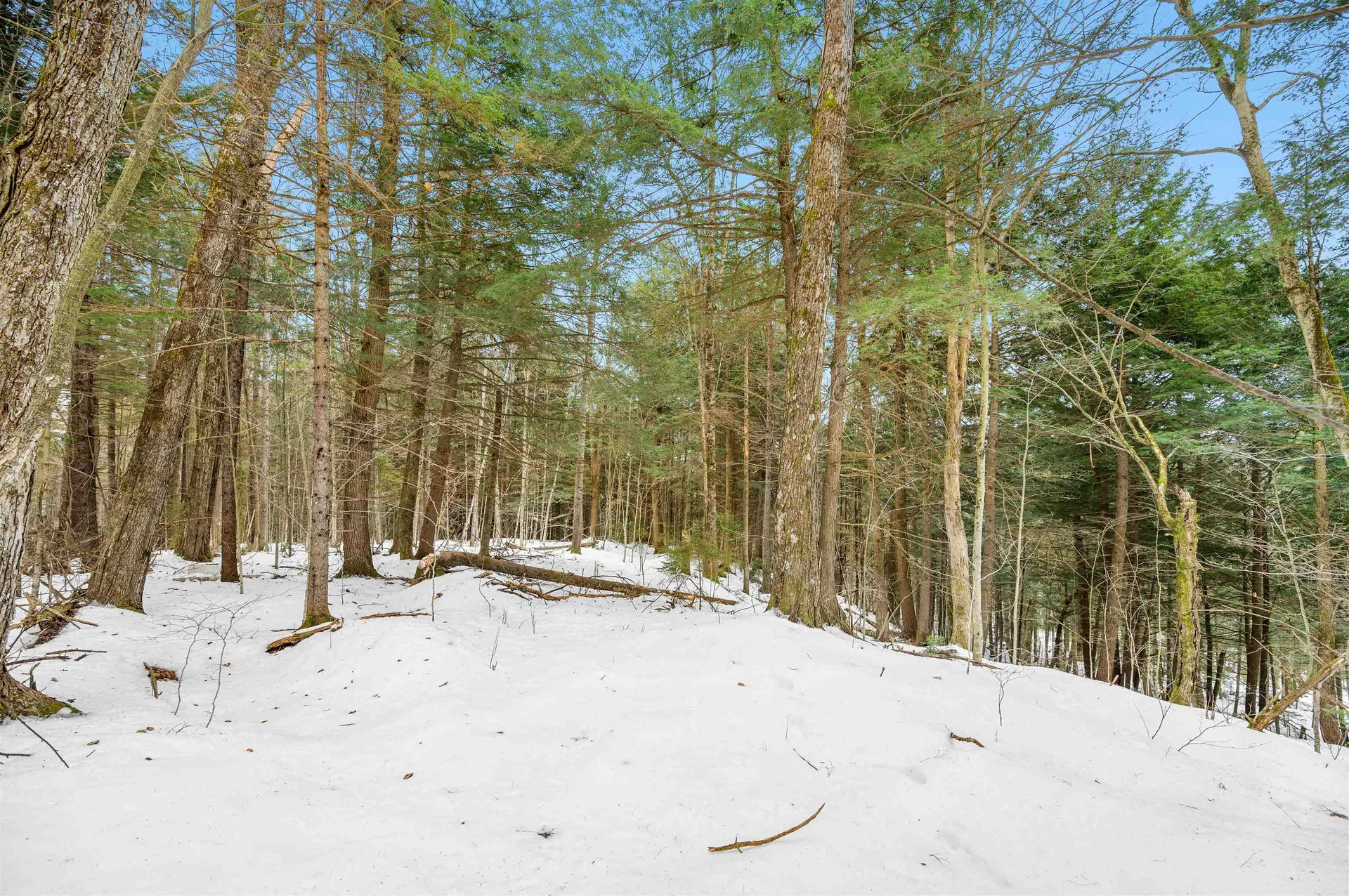 52 Frazier Road Worcester VT 05682