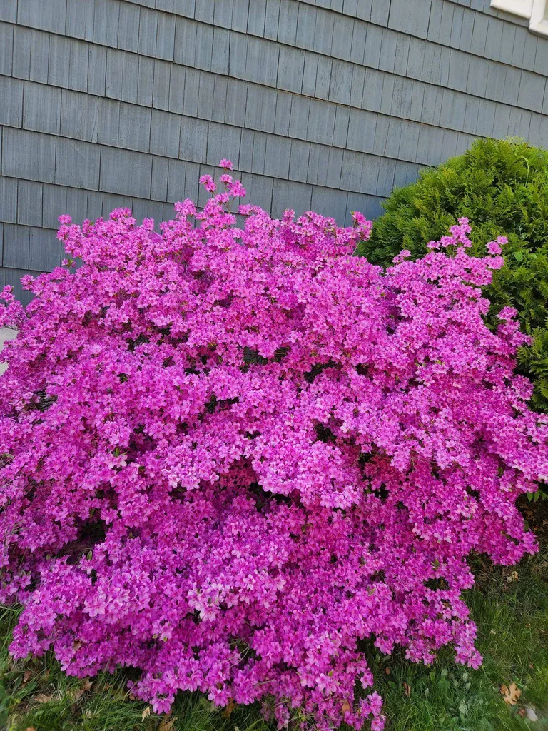 616 Coral Avenue Manchester NH 03104