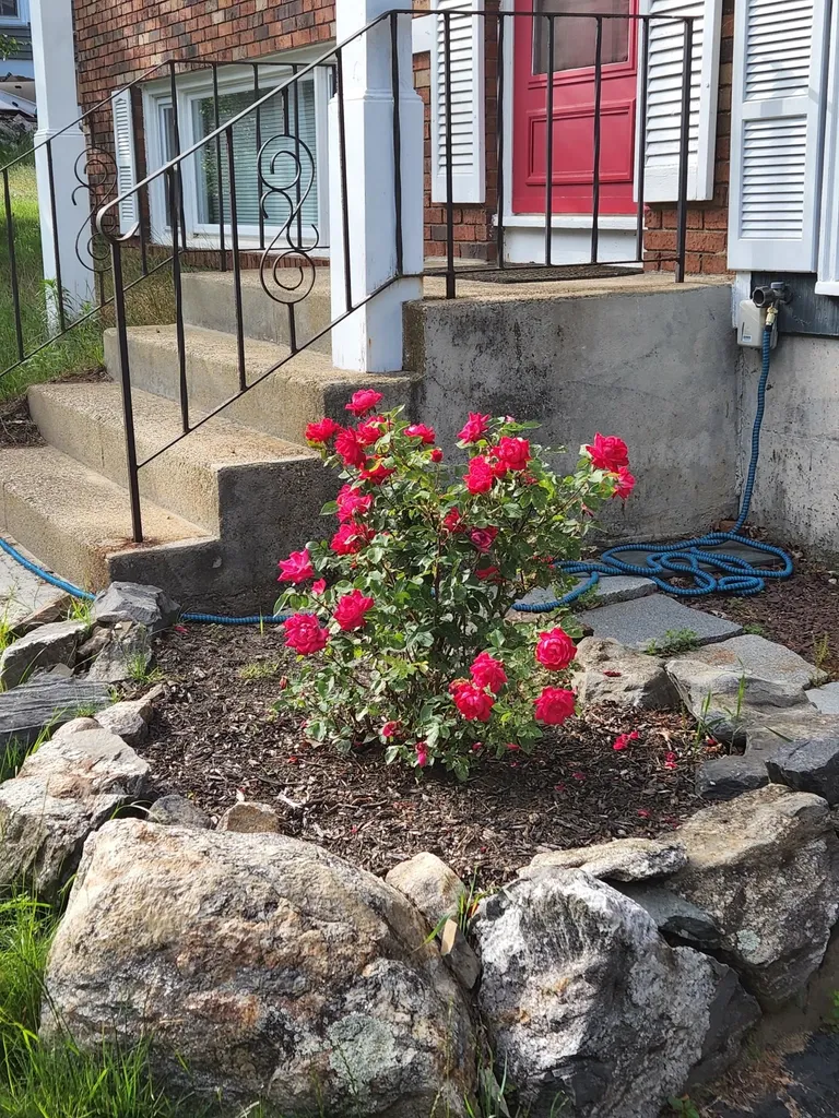 616 Coral Avenue Manchester NH 03104