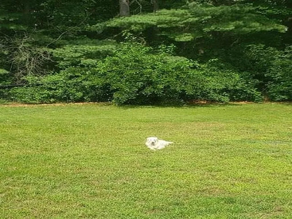 616 Coral Avenue Manchester NH 03104