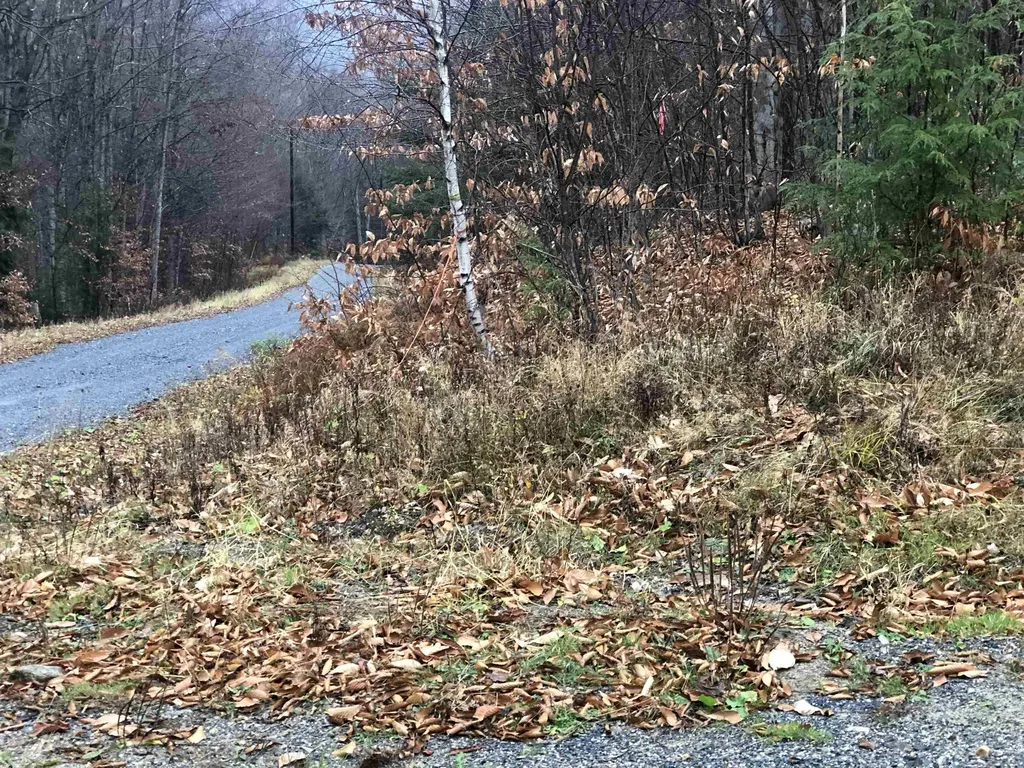 0 Andrea Drive Stamford VT 05352