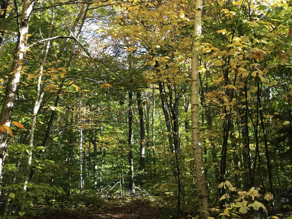 0 Andrea Drive Stamford VT 05352