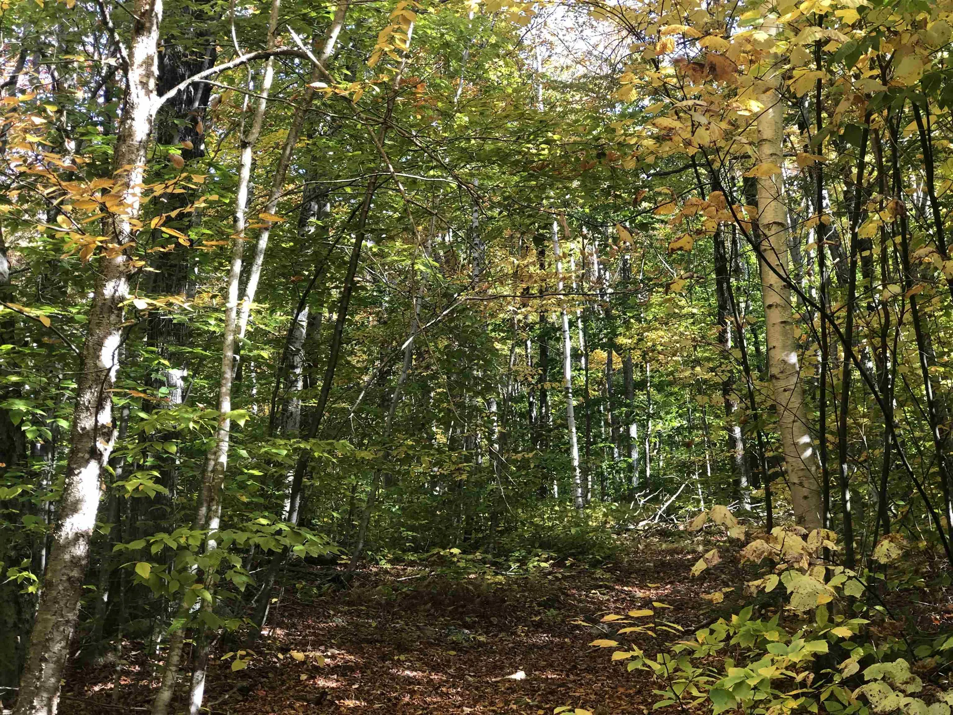 0 Andrea Drive Stamford VT 05352