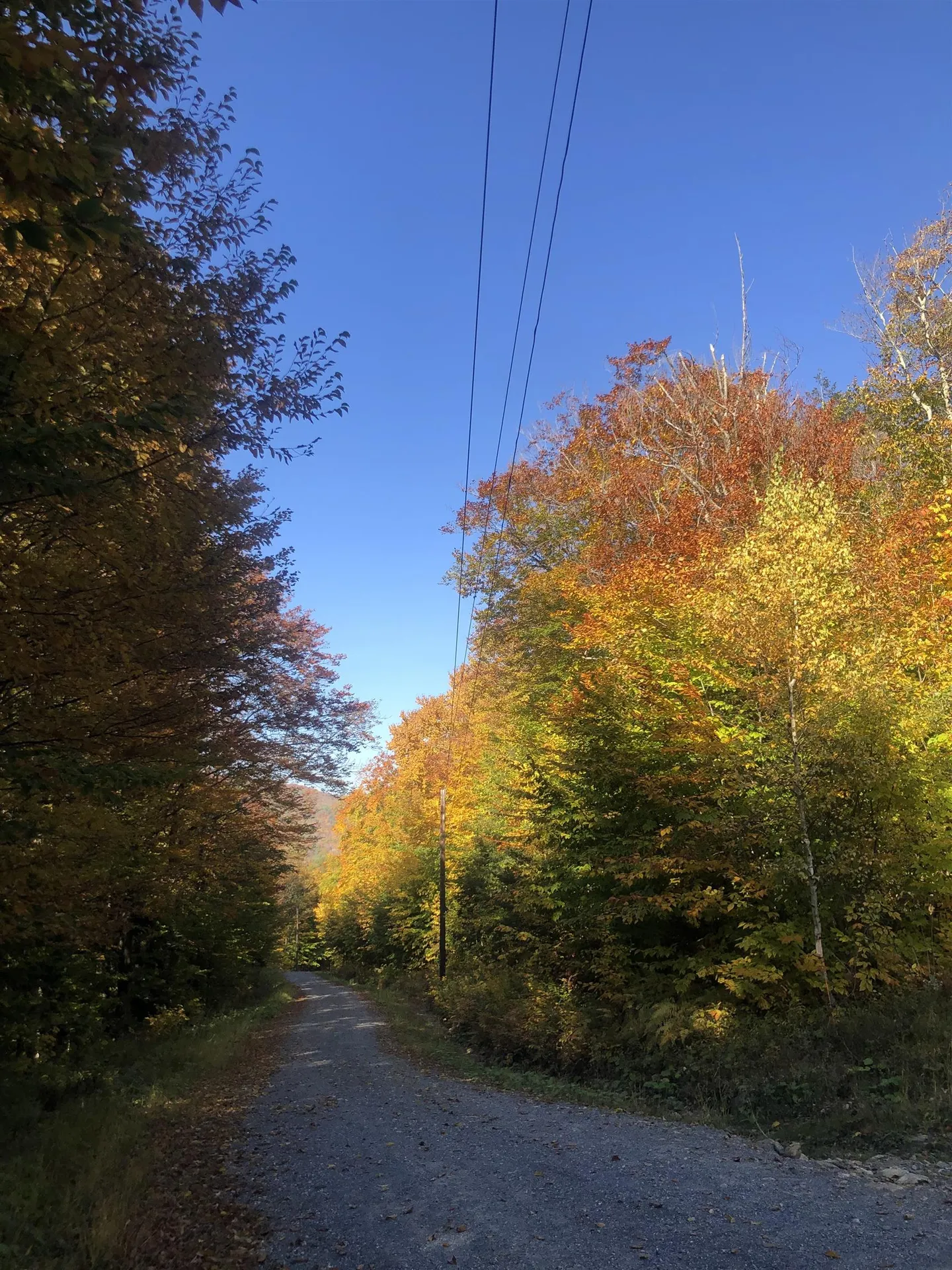 0 Andrea Drive Stamford VT 05352