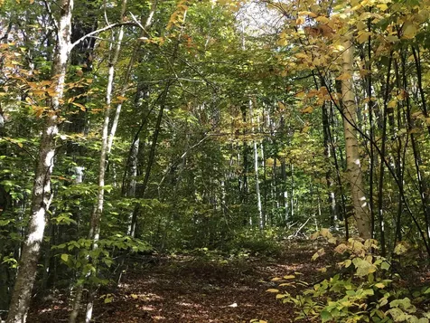 0 Andrea Drive Stamford VT 05352