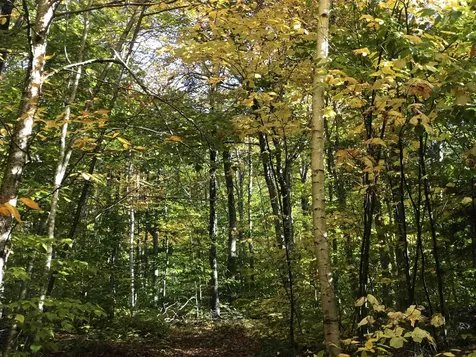 0 Andrea Drive Stamford VT 05352