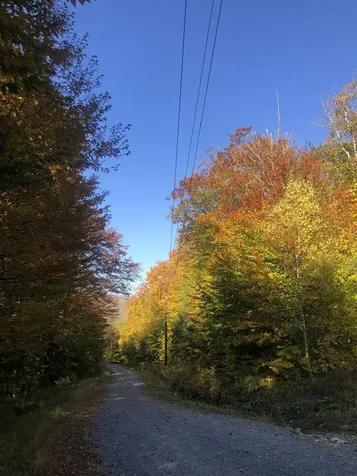 0 Andrea Drive Stamford VT 05352