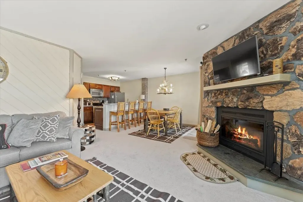 8 Ober Tal Drive Stratton VT 05155