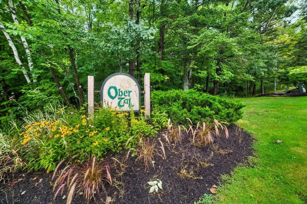 8 Ober Tal Drive Stratton VT 05155