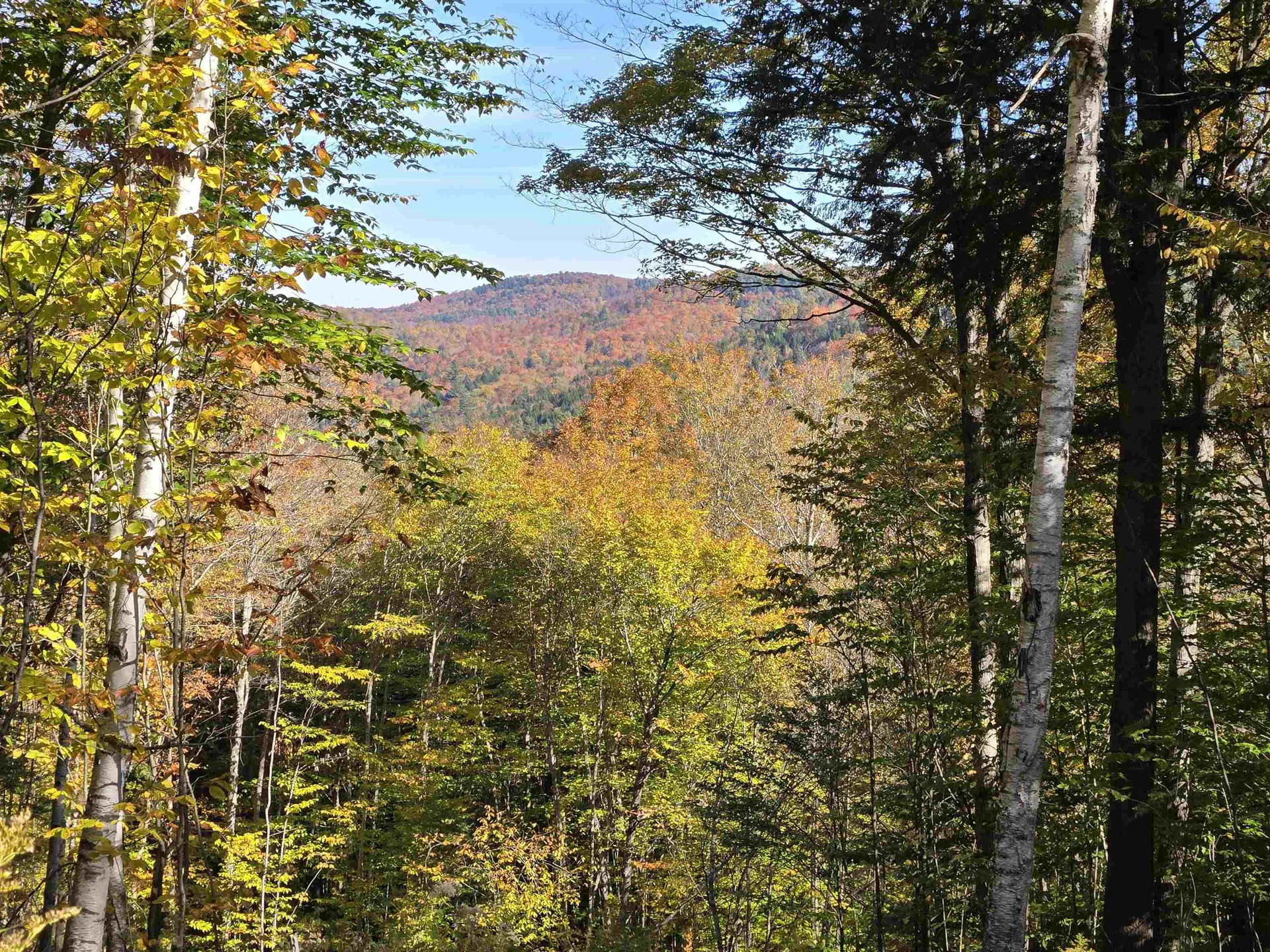 000 West Road Barnard VT 05031