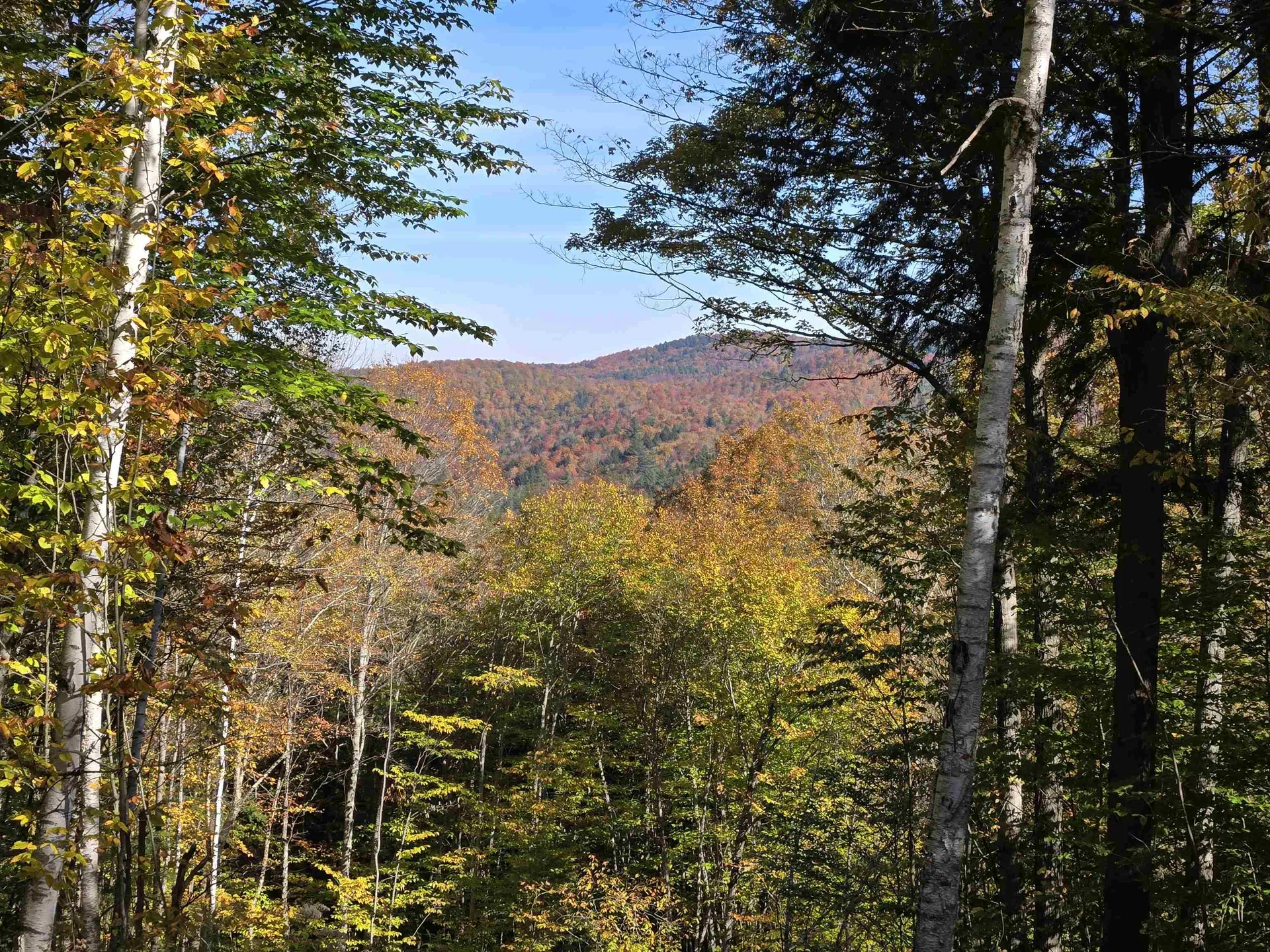 000 West Road Barnard VT 05031