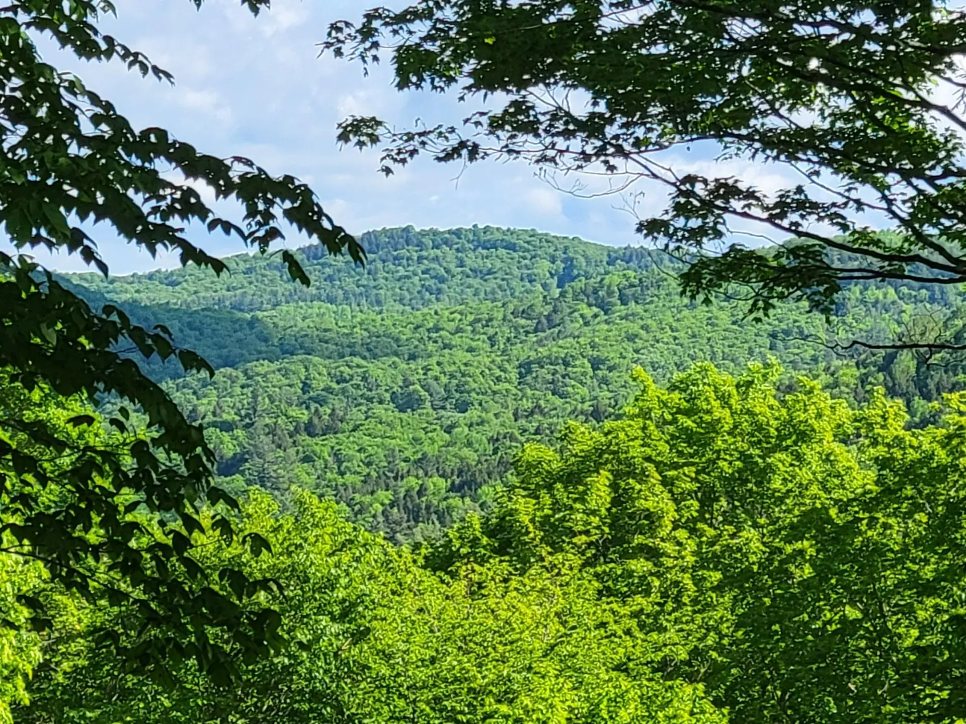 000 West Road Barnard VT 05031