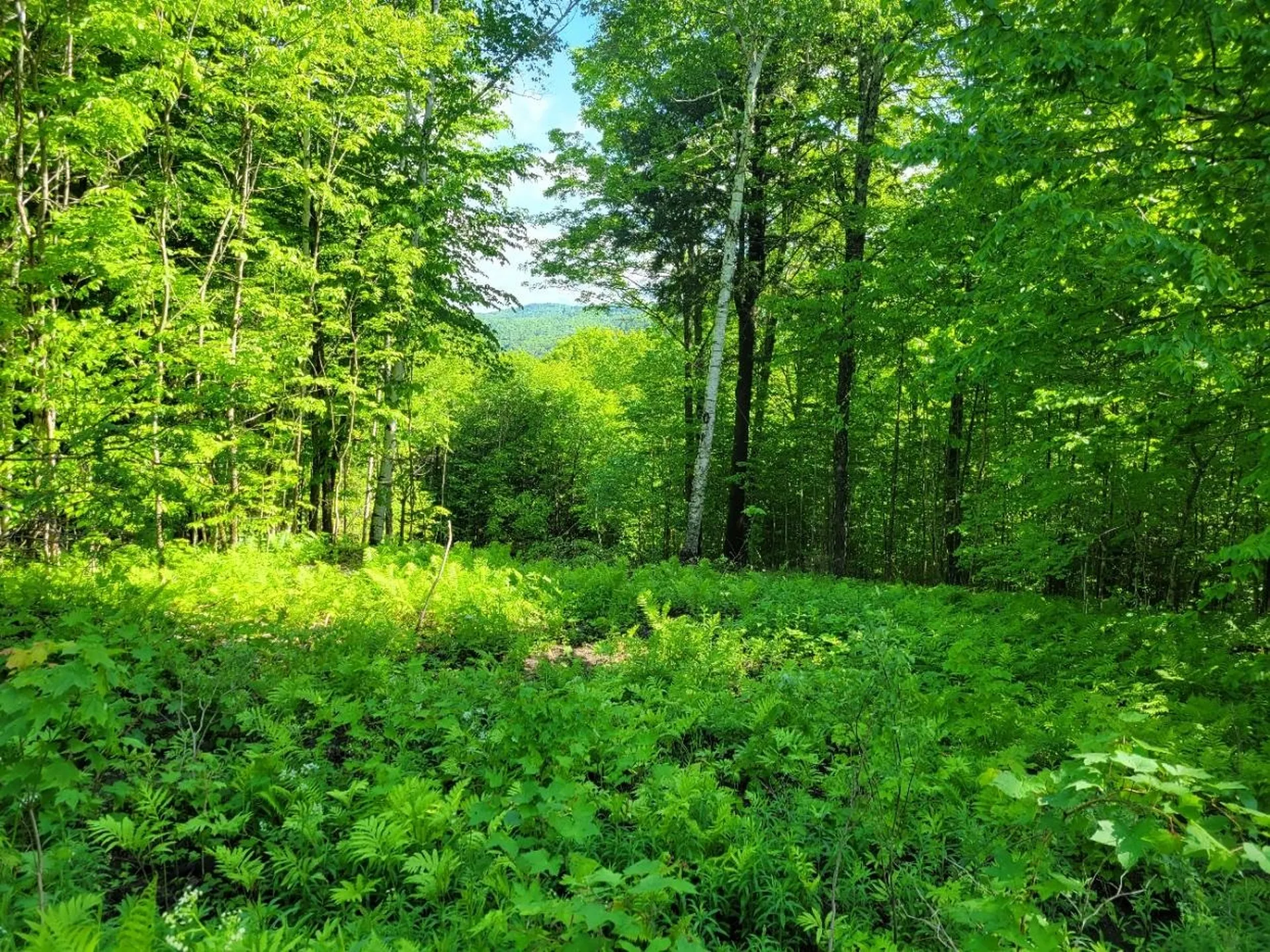 000 West Road Barnard VT 05031