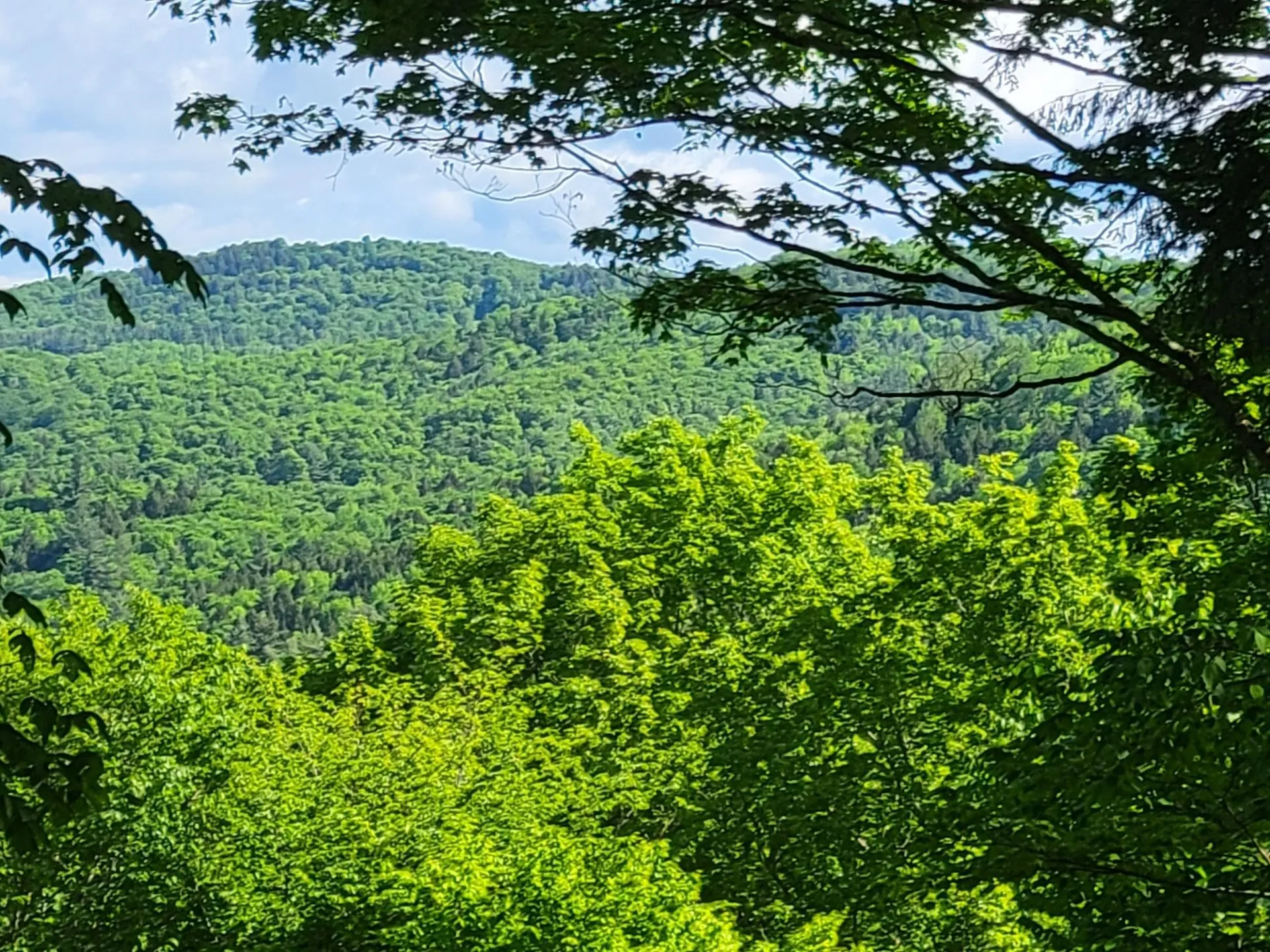 000 West Road Barnard VT 05031