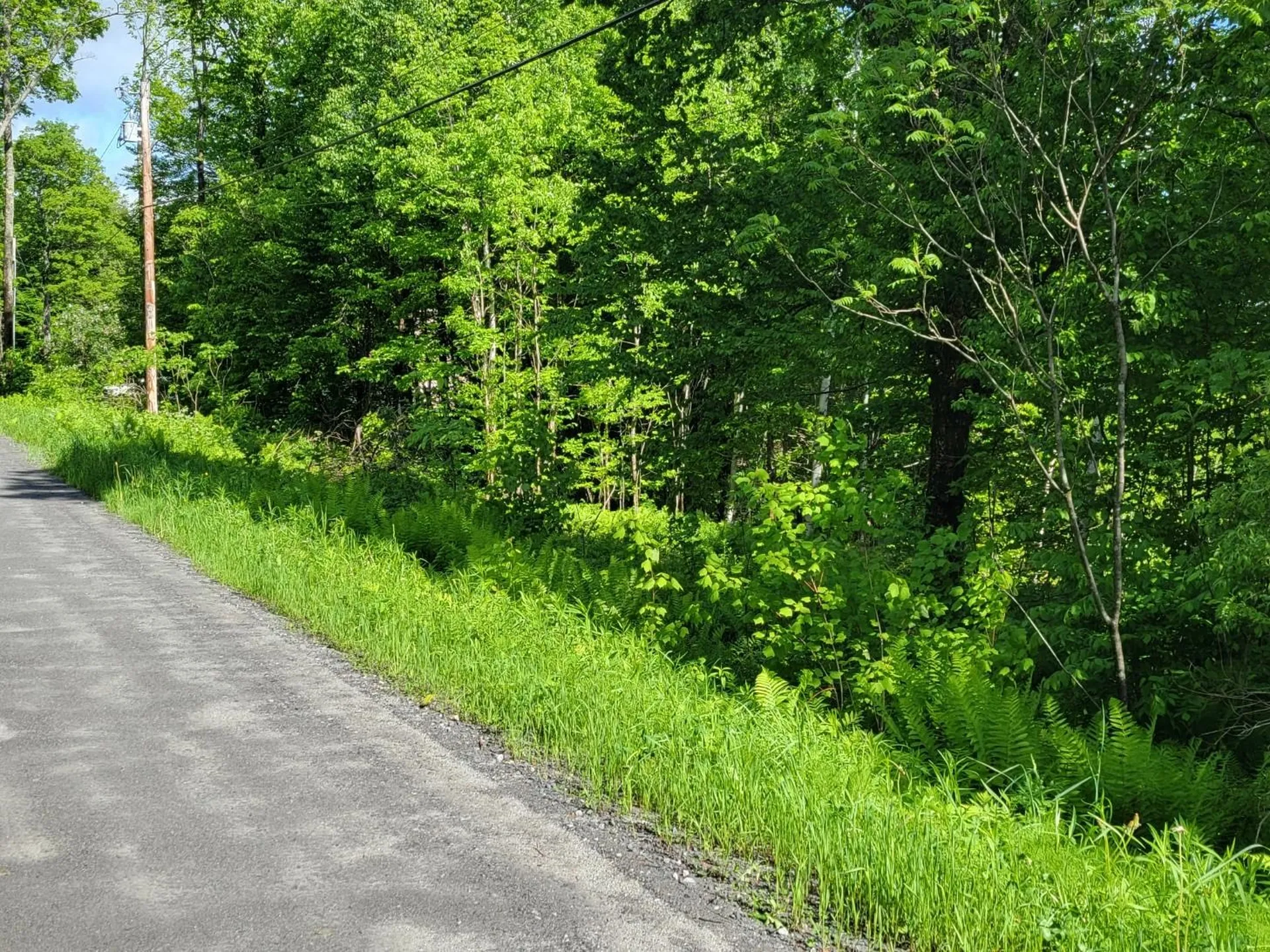 000 West Road Barnard VT 05031